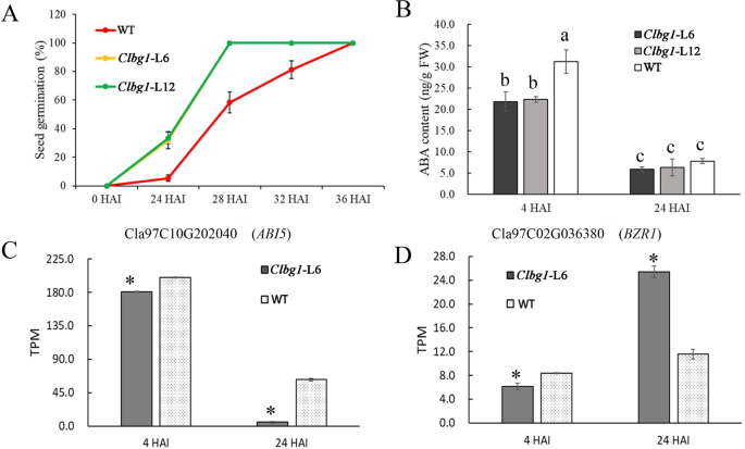 Fig. 7: Variations in seed germination rate, ABA content, and gene expression after seed imbibition.