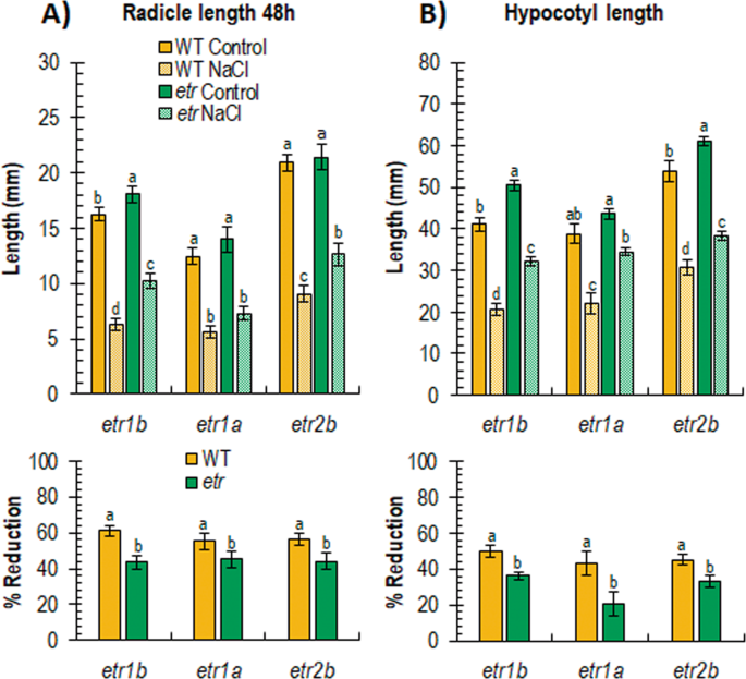 Fig. 2: Effect of salt stress on growth parameters of WT and etr1b, etr1a, and etr2b seedlings.