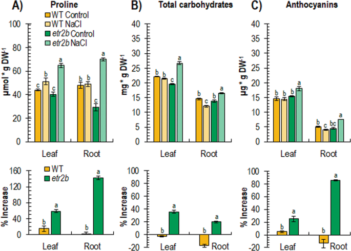 Fig. 5: Content of stress metabolites in WT and etr2b mutant leaves of plants growing under control and NaCl conditions for a total of 45 days after sowing (DAS).