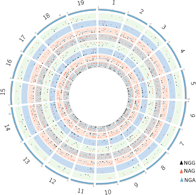 Fig. 4: Genome-wide prediction of off-target sites using Cas-OFFinder.