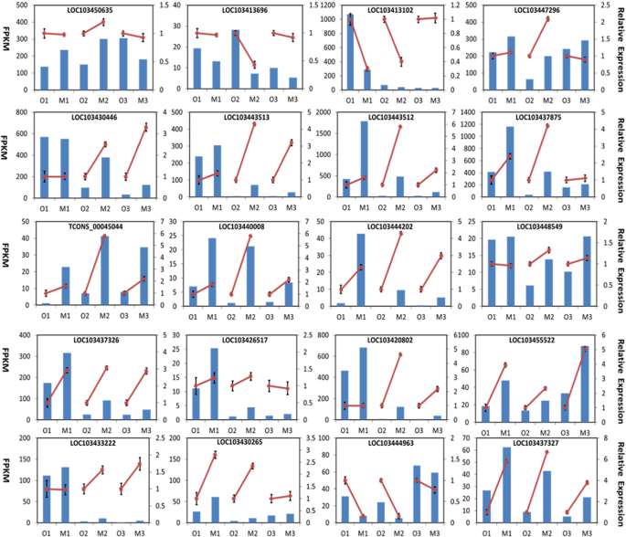 Fig. 2: RNA-seq and qRT-PCR results of 20 selected DEGs in Fuji and mutant apples.