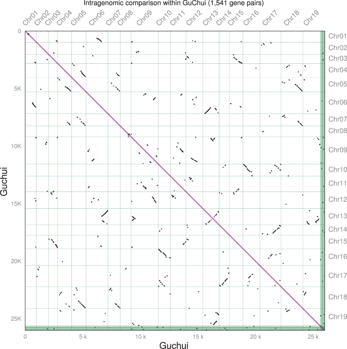 Fig. 4: Self-collinearity map of D. chrysotoxum (Guchui).
