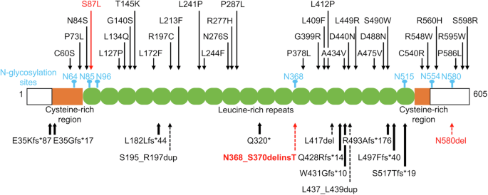 Fig. 1: Major IGFALS variants identified in patients with short stature.