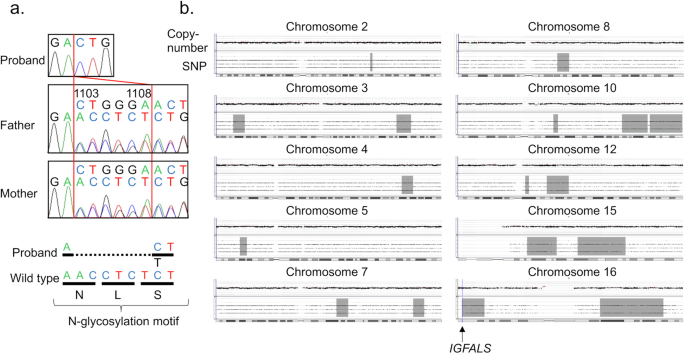 Fig. 2: Molecular data of the patient.