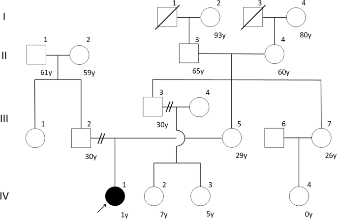 Fig. 1: Family tree at diagnosis.
