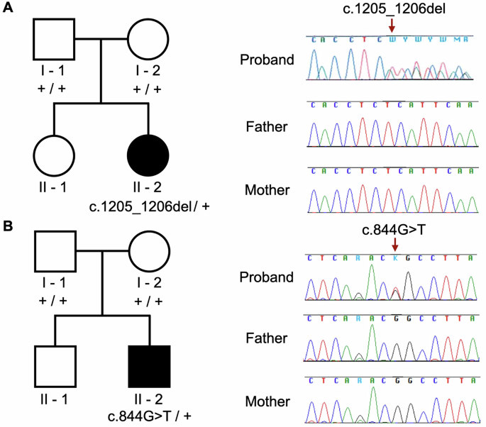 Fig. 2: Novel RARB genetic variants in the patients.
