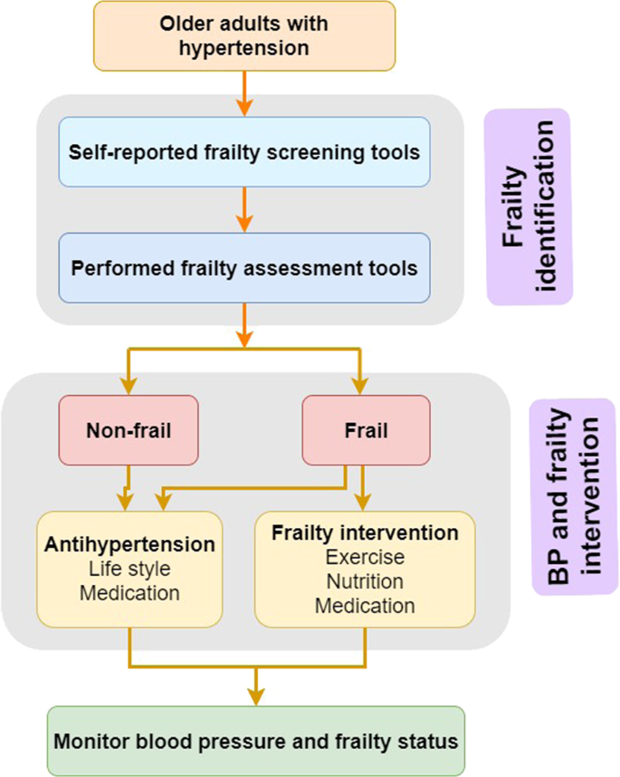 treating hypertension in the elderly guidelines)