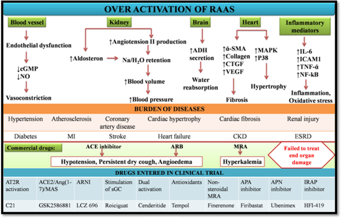 Novel Therapeutics For The Treatment Of Hypertension And Its Associated Complications Peptide And Nonpeptide Based Strategies Hypertension Research