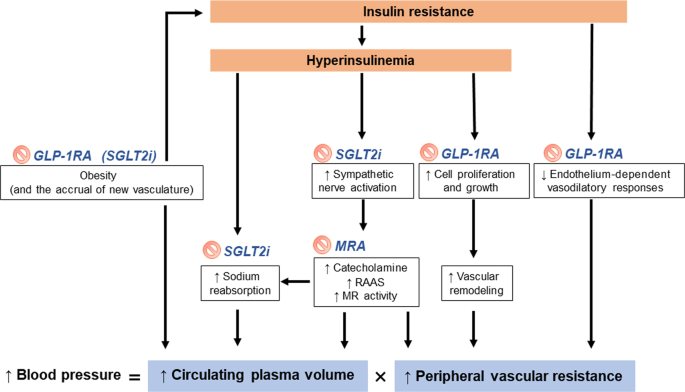 glp 1 nausea mechanism Mechanism of action of GLP-1 [25]