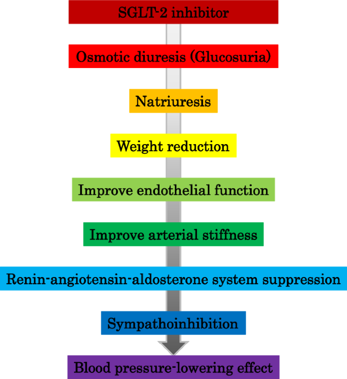 Effect of sodium-glucose cotransporter 2 inhibitors on blood pressure ...