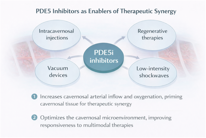 propionyl l-carnitine and pde5 inhibitors Propionyl-L-Carnitine for Erectile Dysfunction: What the Evidence Shows How to Approach It L-Carnitine for Erectile Dysfunction: What