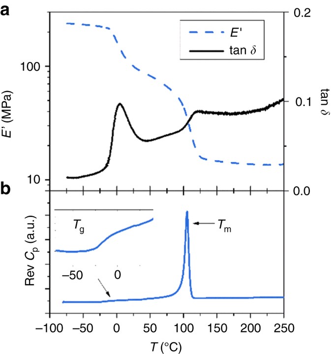 Organocatalyzed Synthesis Of Fluorinated Poly Aryl Thioethers Nature Communications