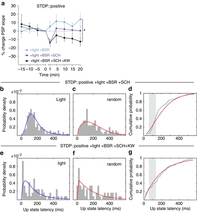 Reinforcement Determines The Timing Dependence Of Corticostriatal Reinforcement Determines The Timing