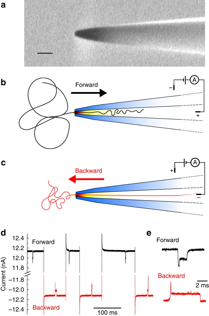 Asymmetric dynamics of DNA entering and exiting a strongly confining nanopore