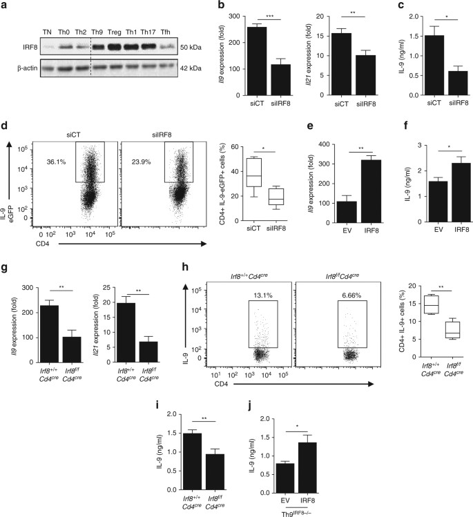 Irf8 Dependent Molecular Complexes Control The Th9 Transcriptional Program Nature Communications