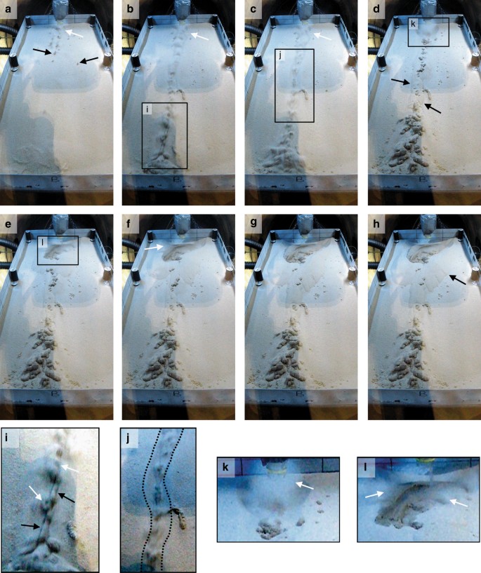 Water Induced Sediment Levitation Enhances Downslope Transport On Mars Nature Communications