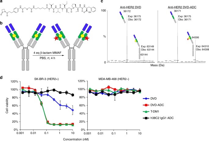 Harnessing A Catalytic Lysine Residue For The One Step Preparation Of Homogeneous Antibody Drug Conjugates Nature Communications