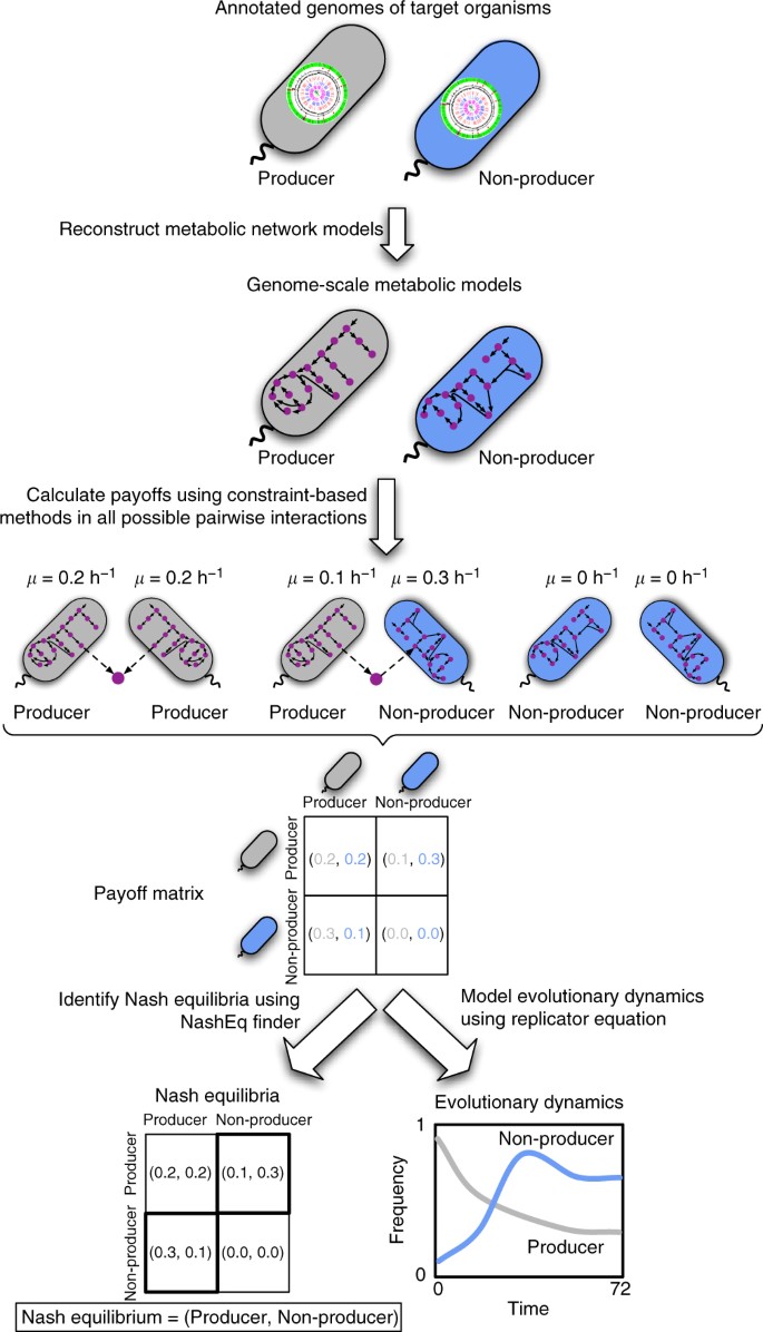 Genome-driven evolutionary game theory helps understand the rise of  metabolic interdependencies in microbial communities