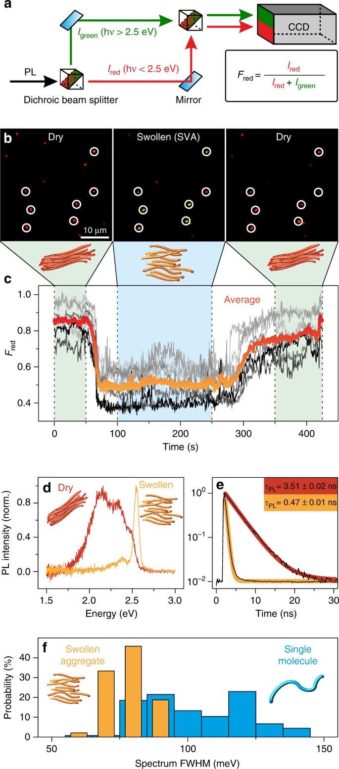 Switching Between H And J Type Electronic Coupling In Single Conjugated Polymer Aggregates Nature Communications