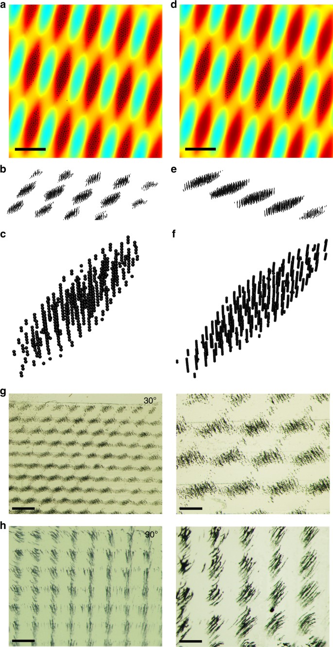 Interference-like patterns of static magnetic fields imprinted into  polymer/nanoparticle composites | Nature Communications