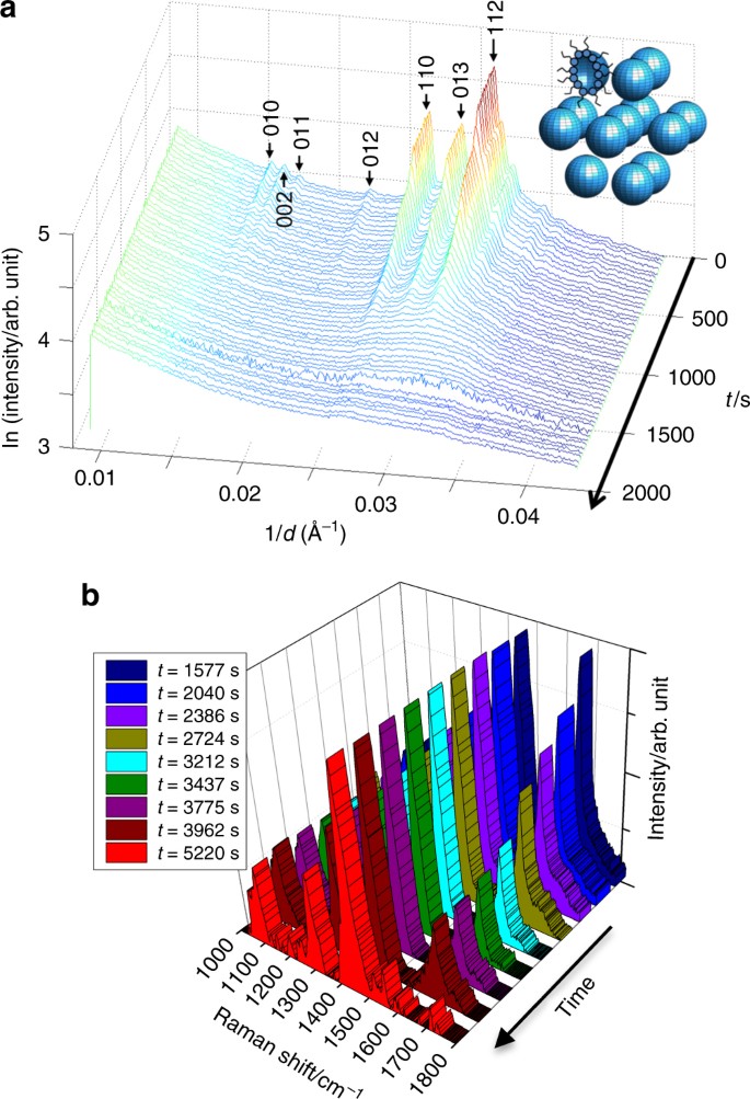 Exploring the Nanostructures Accessible to an Organic Surfactant  Atmospheric Aerosol Proxy