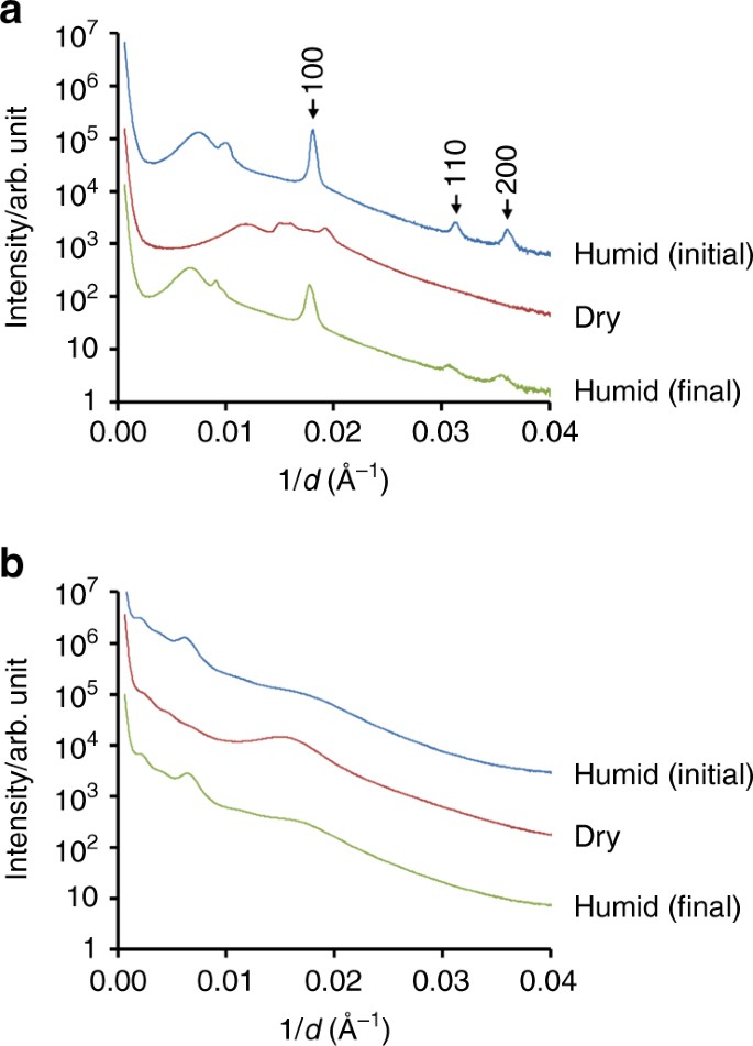 Exploring the Nanostructures Accessible to an Organic Surfactant  Atmospheric Aerosol Proxy