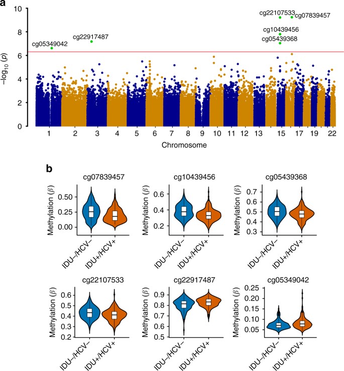 Editorial Sharing Epigenomes Globally >> Dna Methylation Signatures Of Illicit Drug Injection And Hepatitis C Editorial Sharing Epigenomes Globally >> Dna Methylation Signatures Of Illicit Drug Injection And Hepatitis C