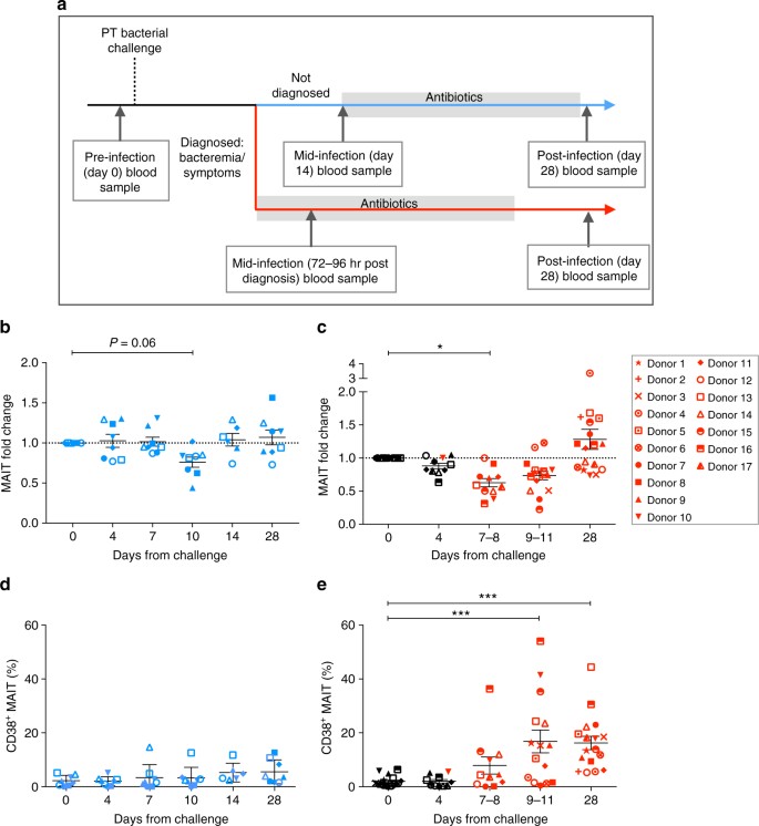 Mait Cell Clonal Expansion And Tcr Repertoire Shaping In