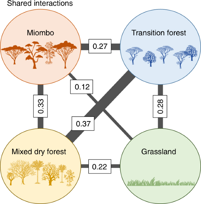 Multilayer Networks Reveal The Spatial Structure Of Seed Dispersal Interactions Across The Great Rift Landscapes Nature Communications