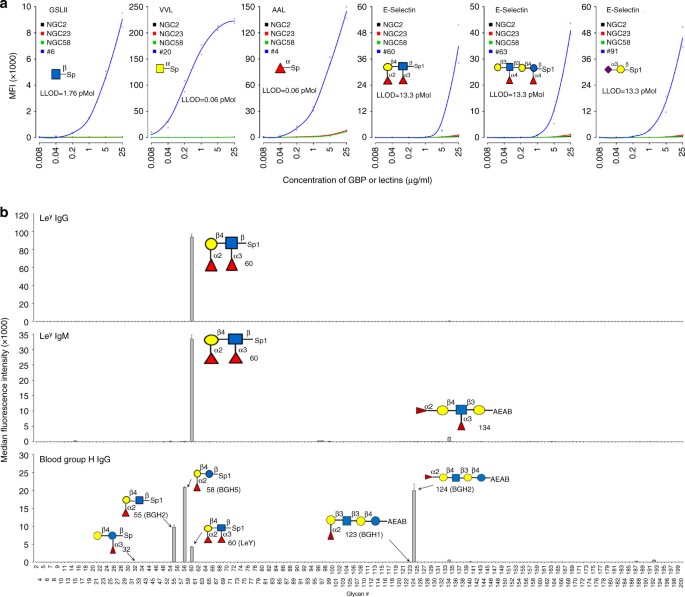 Development of a Multiplex Glycan Microarray Assay and Comparative