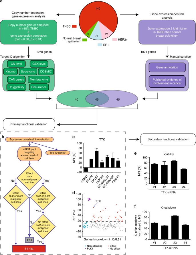 Integrated Genomics And Functional Validation Identifies Malignant Cell Specific Dependencies In Triple Negative Breast Cancer Nature Communications
