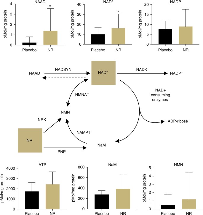 figure2