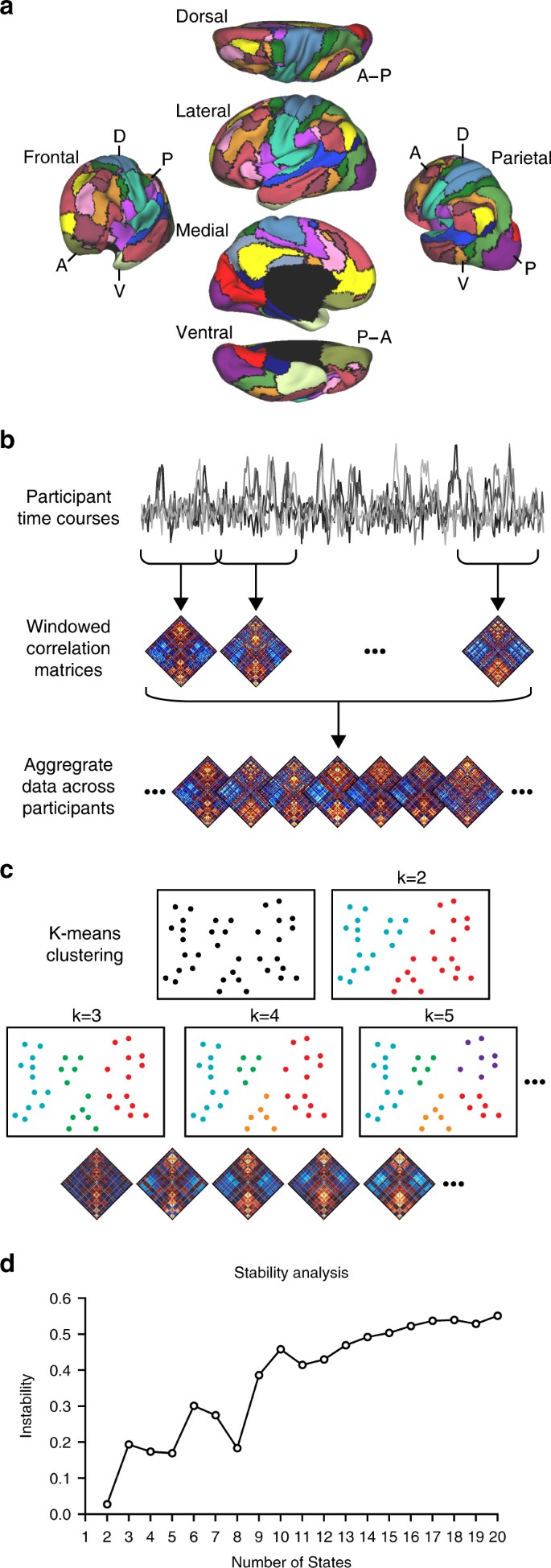 The Human Cortex Possesses A Reconfigurable Dynamic Network Architecture That Is Disrupted In Psychosis Nature Communications