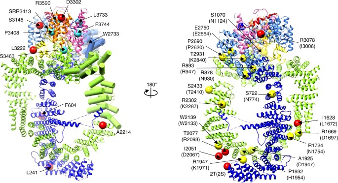 Architecture of the Saccharomyces cerevisiae NuA4/TIP60 complex | Nature  Communications