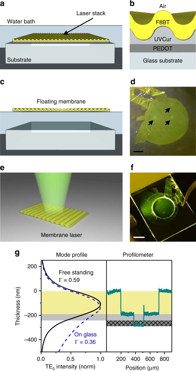 Flexible and ultra-lightweight polymer membrane lasers | Nature  Communications