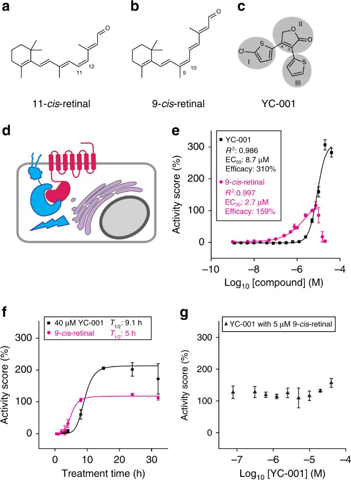 A Novel Small Molecule Chaperone Of Rod Opsin And Its Potential