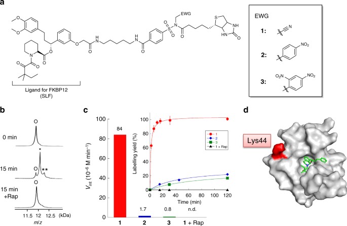 Rapid Labelling And Covalent Inhibition Of Intracellular Native Proteins Using Ligand Directed N Acyl N Alkyl Sulfonamide Nature Communications