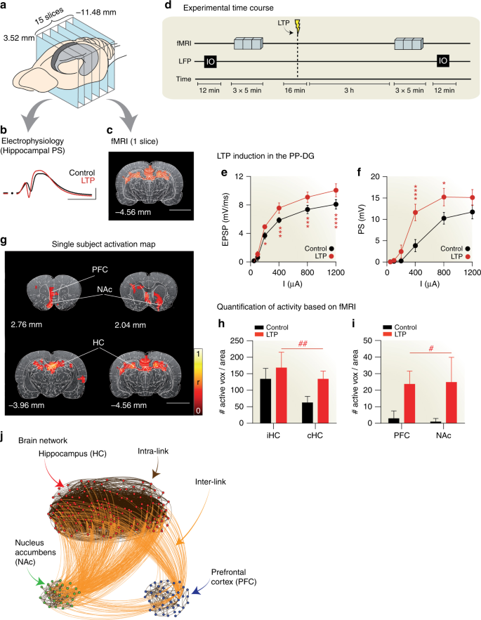 Finding Influential Nodes For Integration In Brain Networks Using Optimal Percolation Theory Nature Communications