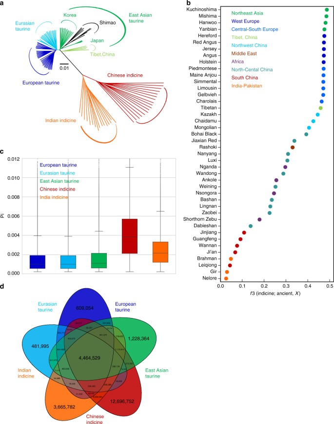 Whole-genome resequencing reveals world-wide ancestry and adaptive  introgression events of domesticated cattle in East Asia | Nature  Communications