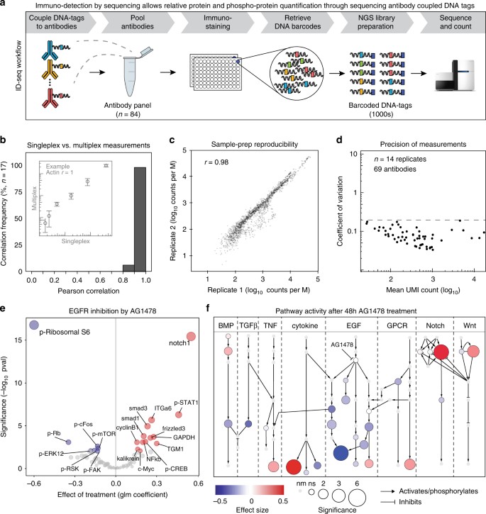 Immuno Detection By Sequencing Enables Large Scale High Dimensional Phenotyping In Cells Nature Communications