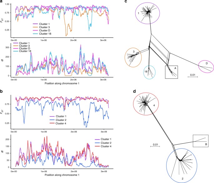 Gene Flow Contributes To Diversification Of The Major Fungal Pathogen Candida Albicans Nature Communications Gene Flow Contributes To Diversification Of The Major Fungal Pathogen Candida Albicans Nature Communications