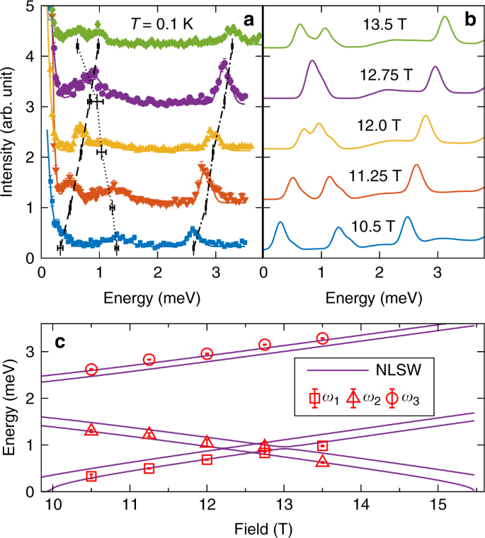 The Nature Of Spin Excitations In The One Third Magnetization Plateau Phase Of Ba 3 Cosb 2 O 9 Nature Communications