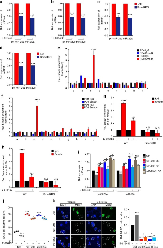 Tgf B Signaling Alters H4k20me3 Status Via Mir 29 And Contributes To Cellular Senescence And Cardiac Aging Nature Communications