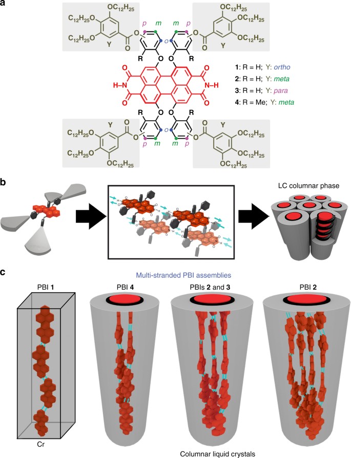 Self Assembly Of Multi Stranded Perylene Dye J Aggregates In Columnar Liquid Crystalline Phases Nature Communications