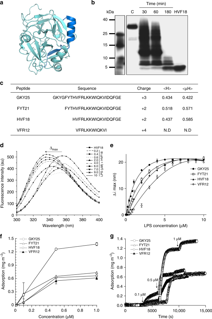 Structural basis for endotoxin neutralisation and anti-inflammatory  activity of thrombin-derived C-terminal peptides | Nature Communications