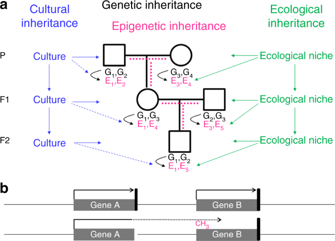 figure1