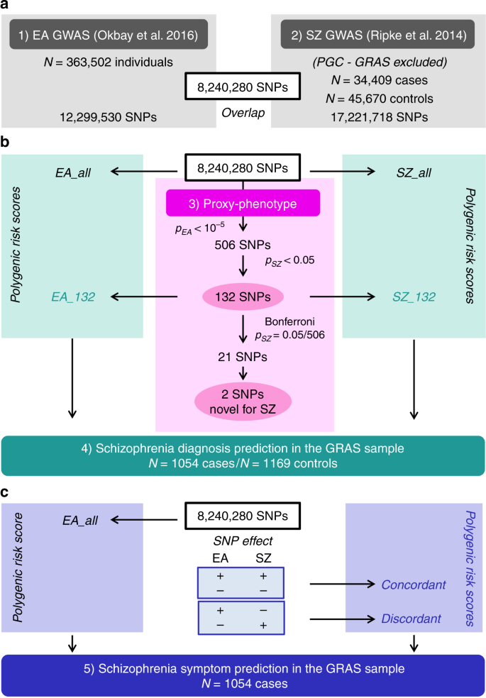 Genome Wide Association Study Results For Educational Attainment Aid In Identifying Genetic Heterogeneity Of Schizophrenia Nature Communications Genome Wide Association Study Results For Educational Attainment Aid In Identifying Genetic Heterogeneity Of Schizophrenia Nature Communications