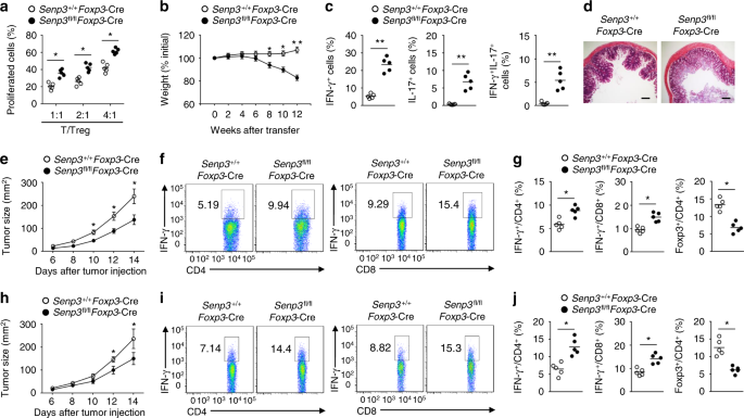 SENP3 maintains the stability and function of regulatory T cells via BACH2  deSUMOylation | Nature Communications