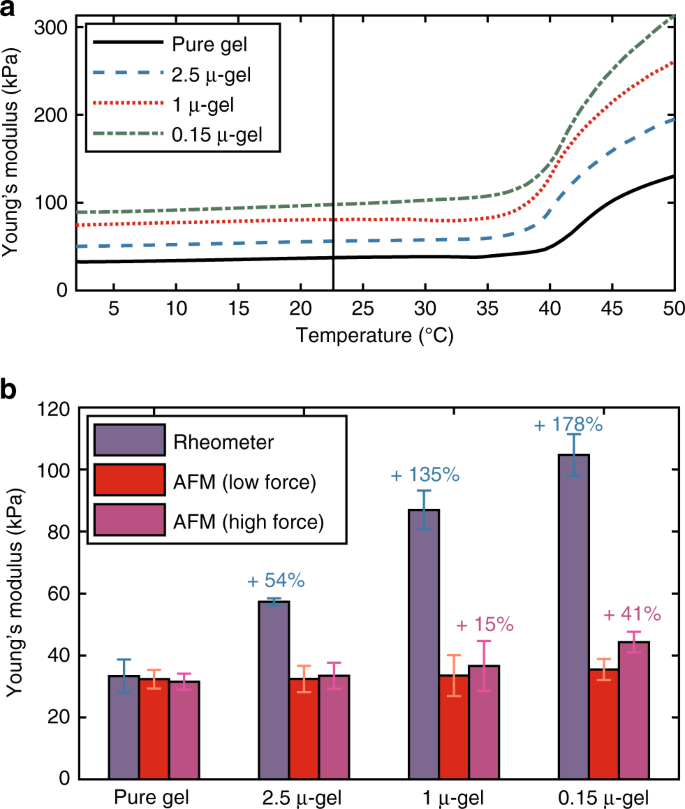 Atomic Force Microscopy Methodology And Afmech Suite Software For Nanomechanics On Heterogeneous Soft Materials Nature Communications
