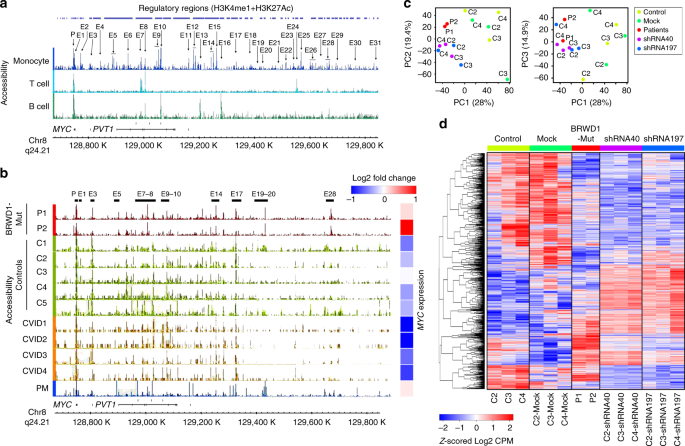 Brwd1 Orchestrates Epigenetic Landscape Of Late B